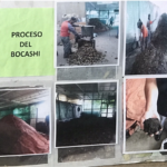 Foto de Marcela Treviño Feria